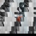 Image Signature MiniRobe - MiniRobe