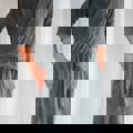 Image Signature MiniRobe - MiniRobe